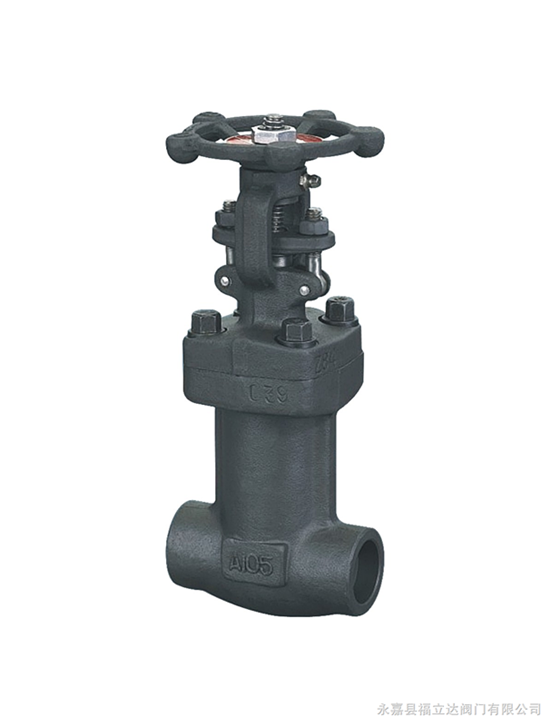 Forged Steel Bellows sealed Globe Valve
